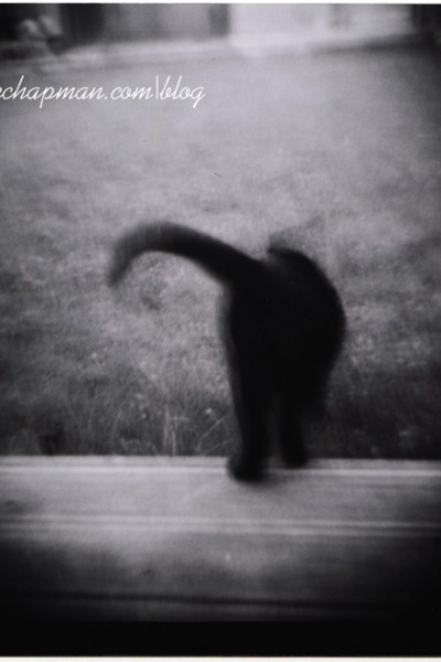 ~ my world exists in black and white ~