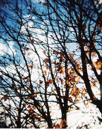 Film Friday | Seasons change & studio update