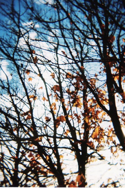 film friday | autumn